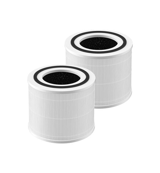 Big Fan Filter 2 Pack